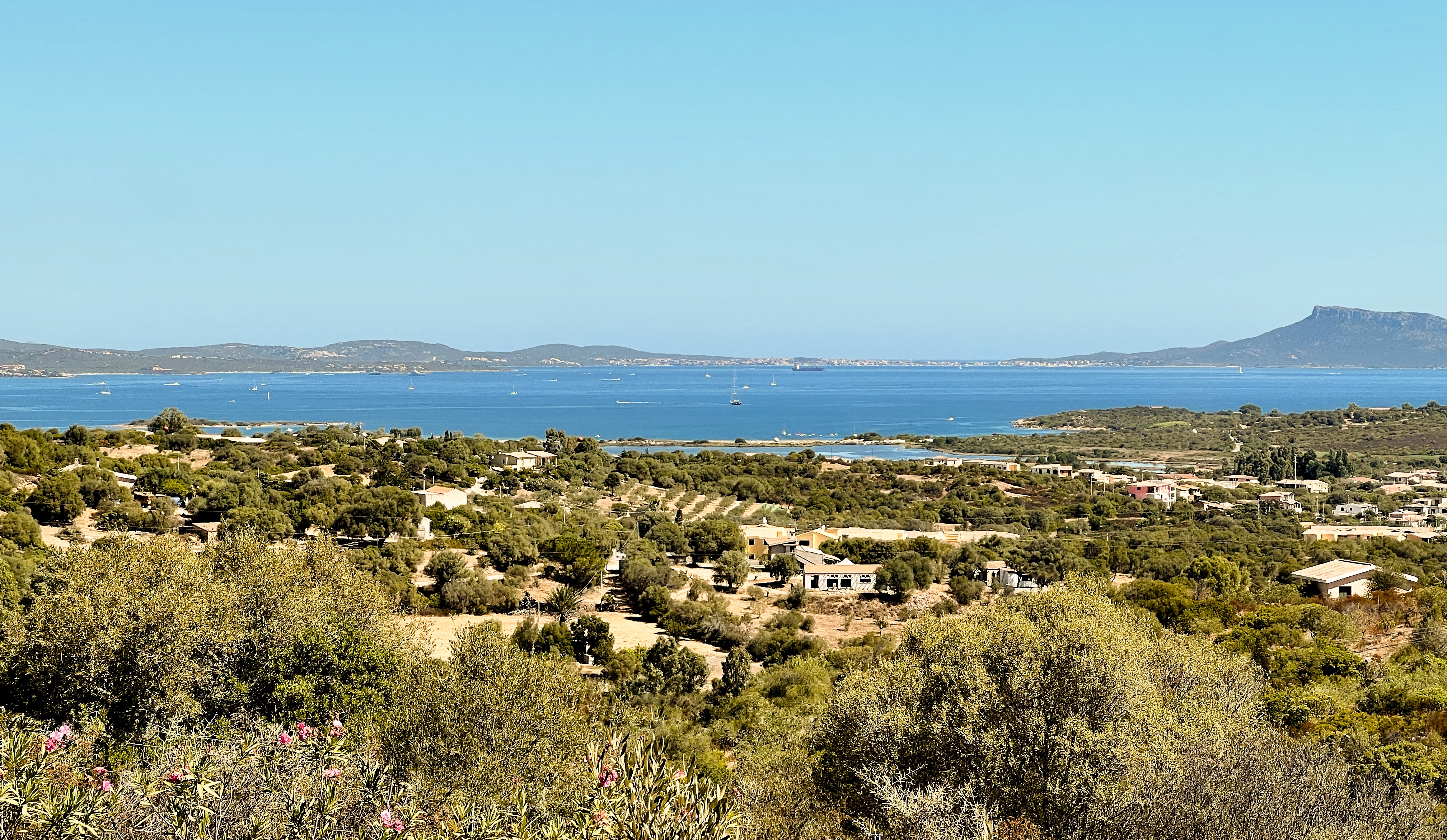 Su Bisu properties set among olive trees at sunset above Murta Maria