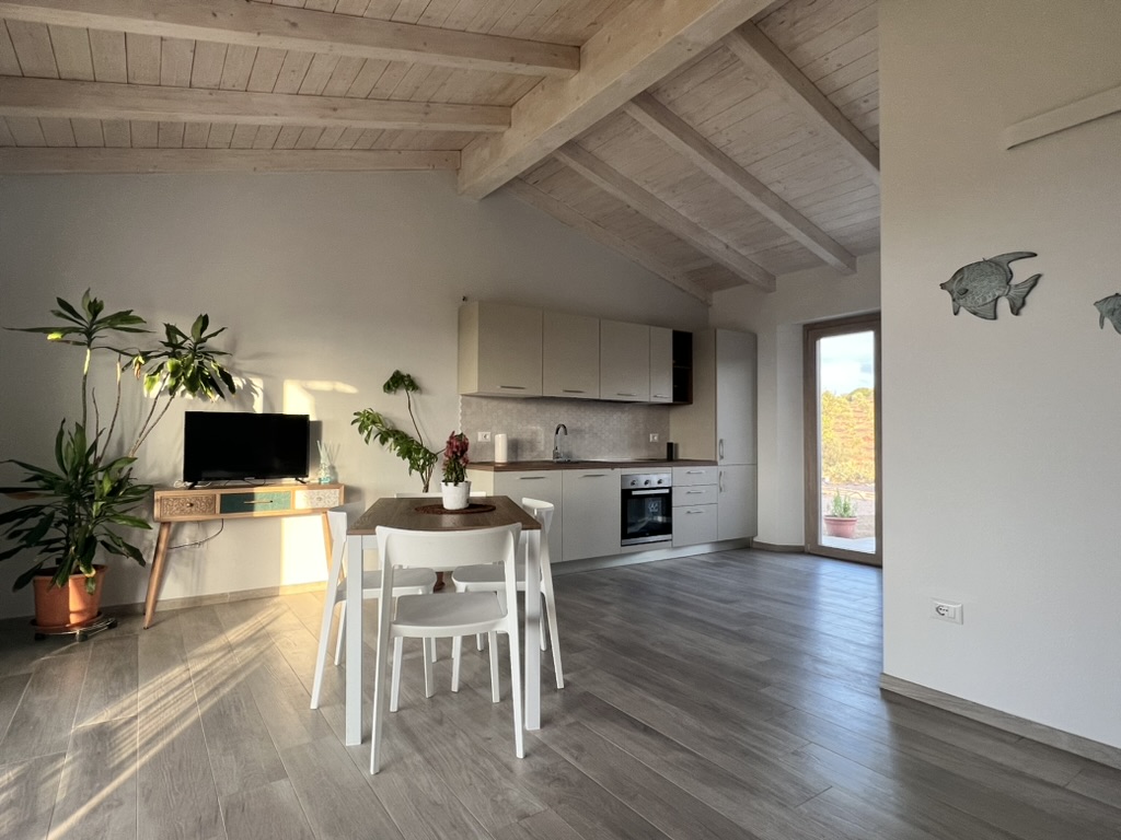 Luce open living and kitchen space