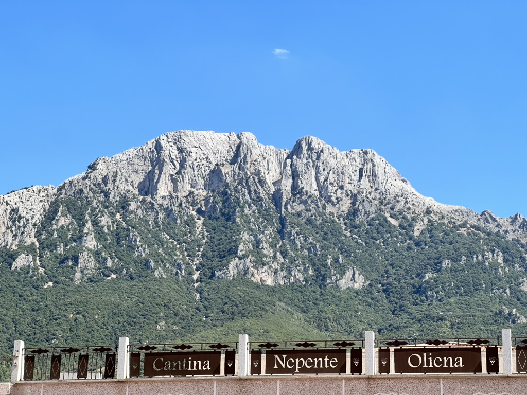 Monte Corrasi above Cantina Nepente in Oliena