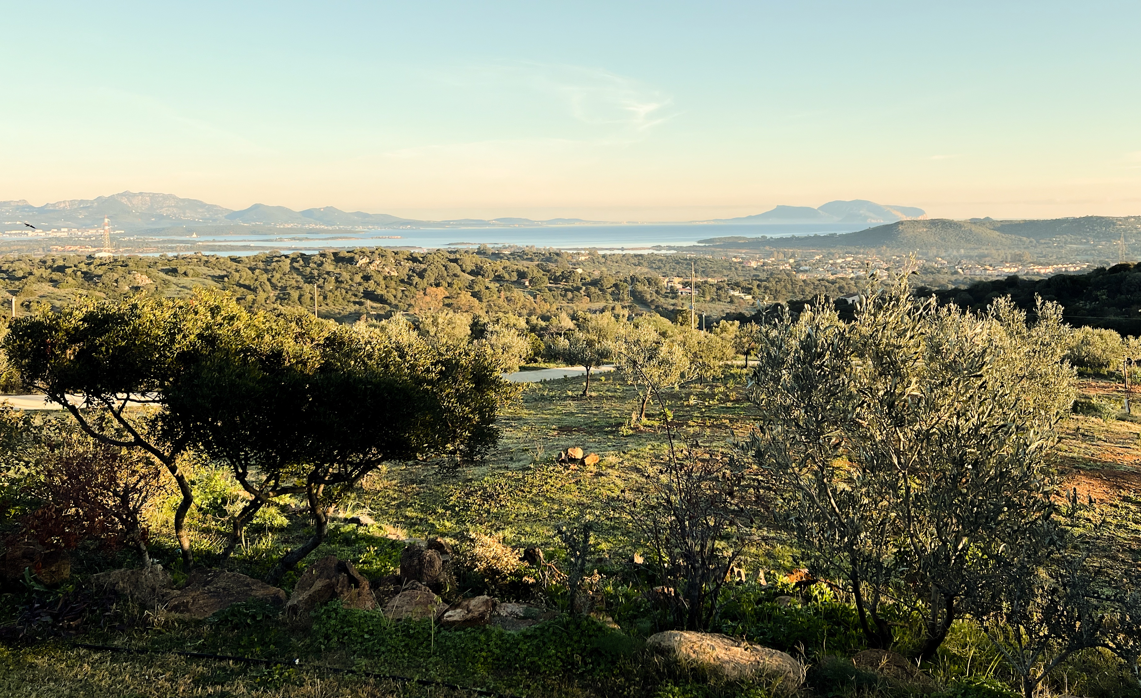 A quiet Su Bisu house set with space around it