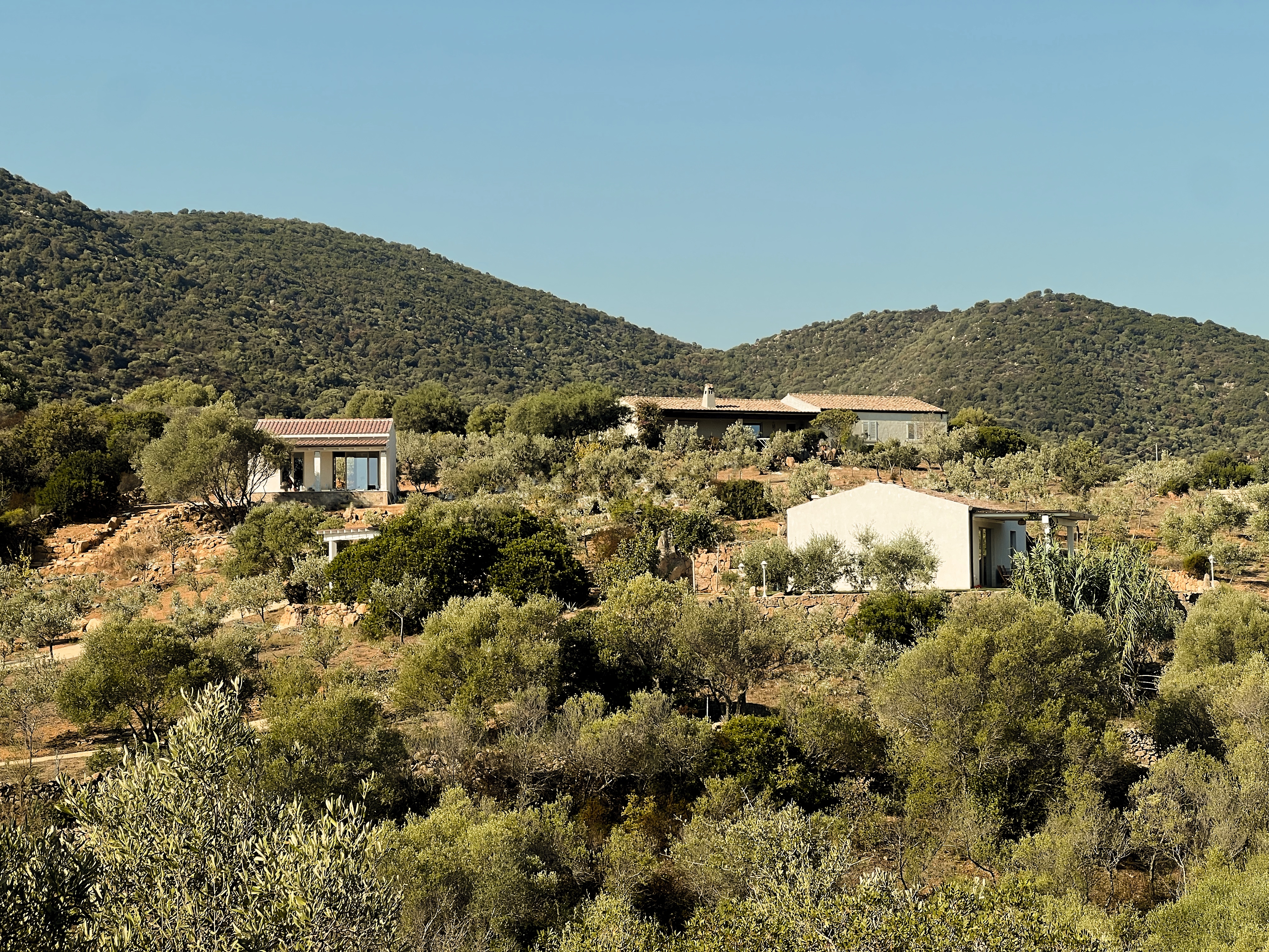 Wide view from Su Bisu toward the coast and Tavolara