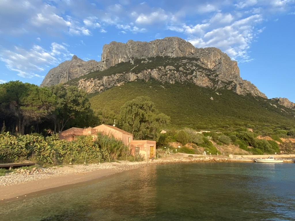 Tavolara mountain rising above the shore